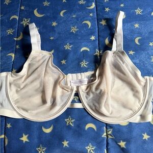Sheer Unlined Bra